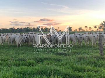 Imagem 1 · Fazenda