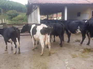 Imagem 1 · Fazenda