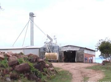 Imagem 1 · Fazenda