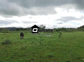Imagem 1 · Fazenda