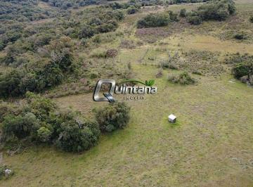 Imagem 1 · Sítio para venda em Centro, Canguçu