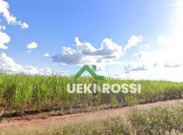 Imagem 1 · Fazenda