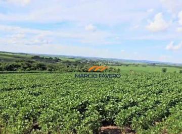 Imagem 1 · Fazenda para venda em Matão