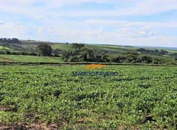 Imagem 1 · Fazenda