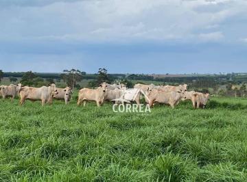 Imagem 1 · Fazenda