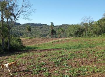 Imagem 1 · Fazenda
