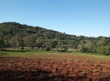 Imagem 1 · Fazenda