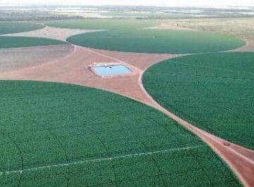 Imagem 1 · Fazenda