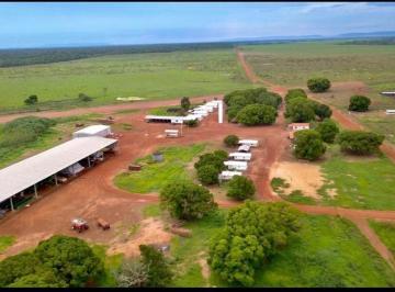 Imagem 1 · Fazenda