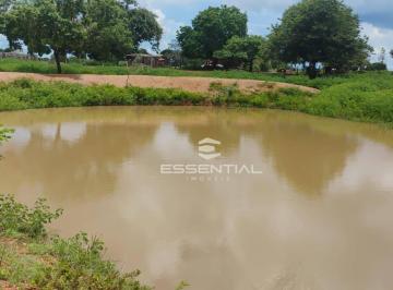 Imagem 1 · Fazenda