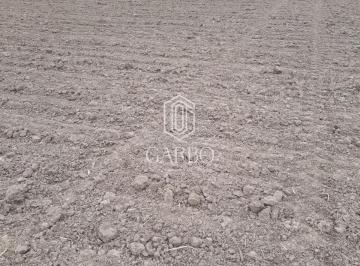 Imagem 1 · Fazenda