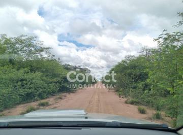 Imagem 1 · Fazenda para venda em Uruçuí