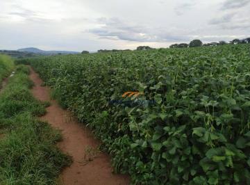 Imagem 1 · Fazenda