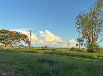 Imagem 1 · Fazenda para venda em Centro, Figueirão