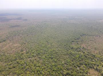 Imagem 1 · Fazenda