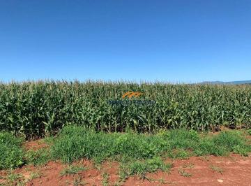 Imagem 1 · Fazenda