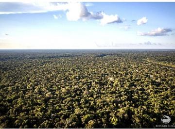 Imagem 1 · Fazenda