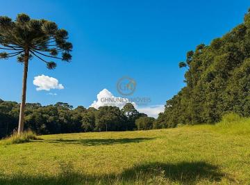 Imagem 1 · Chácara para venda em Área Rural, Contenda
