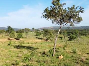 Imagem 1 · Fazenda