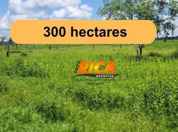 Imagem 1 · Fazenda