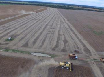 Imagem 1 · Fazenda