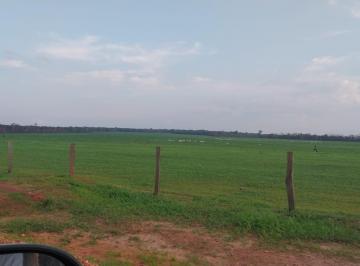 Imagem 1 · Fazenda