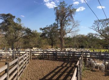 Imagem 1 · Fazenda