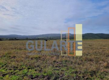 Imagem 1 · Fazenda