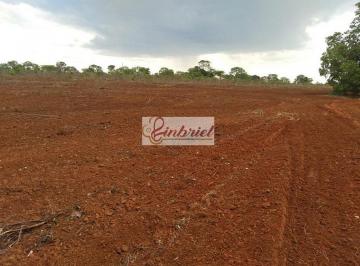 Imagem 1 · Fazenda