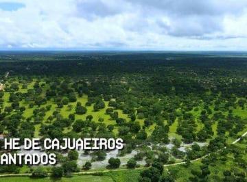 Imagem 1 · Fazenda