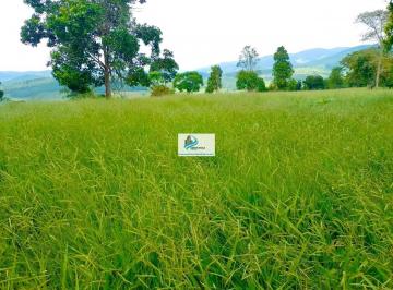 Imagem 1 · Fazenda