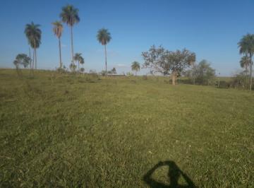 Imagem 1 · Fazenda