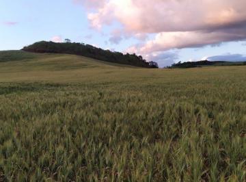 Imagem 1 · Fazenda