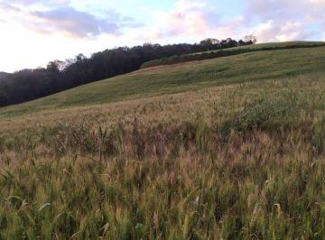 Imagem 1 · Fazenda