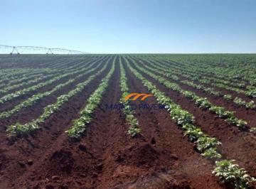 Imagem 1 · Fazenda