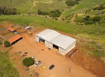 Imagem 1 · Fazenda para venda em Parque Industrial Zona Oeste, Apucaran