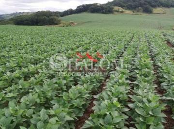 Imagem 1 · Fazenda