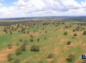 Imagem 1 · Fazenda