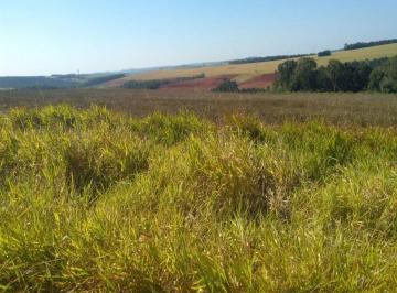 Imagem 1 · Fazenda