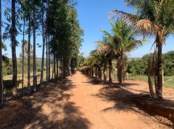 Imagem 1 · Fazenda