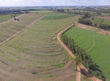 Imagem 1 · Fazenda