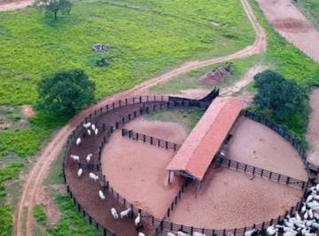 Imagem 1 · Fazenda