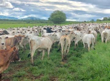 Imagem 1 · Fazenda