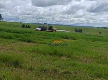 Imagem 1 · Fazenda