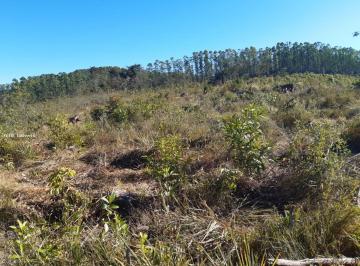 Imagem 1 · Fazenda para venda em Ritápolis
