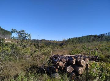 Imagem 1 · Fazenda