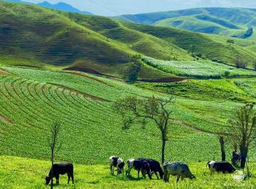 Imagem 1 · Fazenda