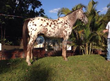 Imagem 1 · Fazenda