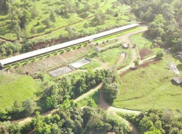 Imagem 1 · Fazenda