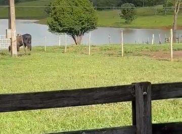 Imagem 1 · Fazenda